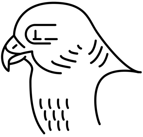 Peregrine Falcon Coloring Page